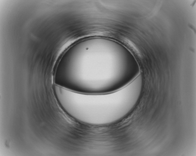 X0000095911324200801110818
