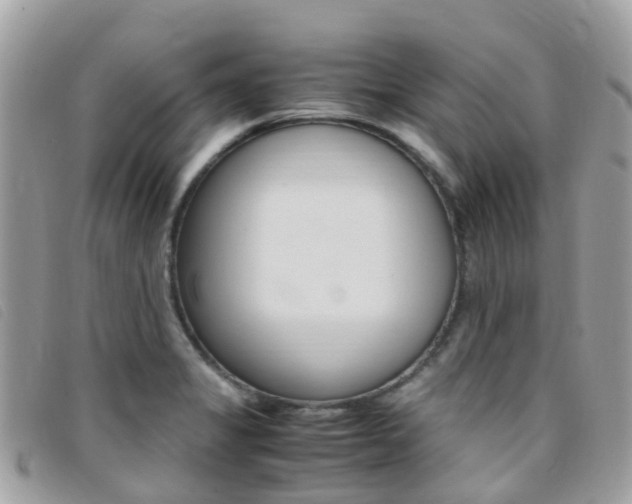 X0000095911325200801110818