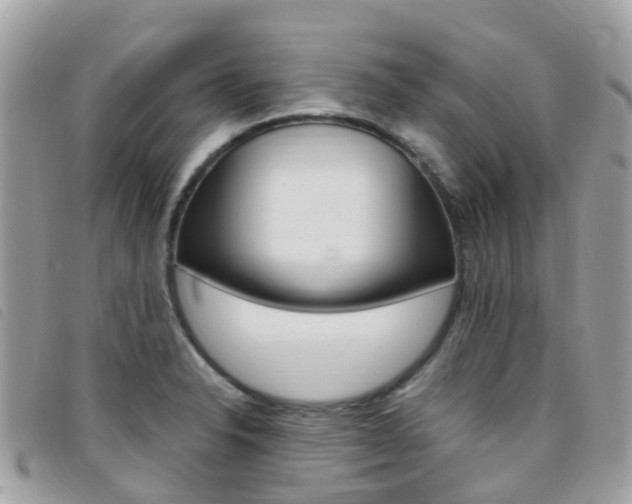 X0000095911326200801110818