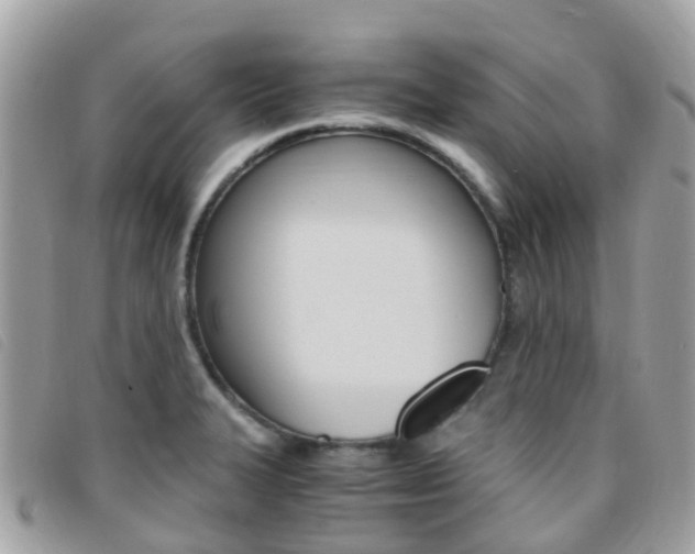 X0000095911327200801110818