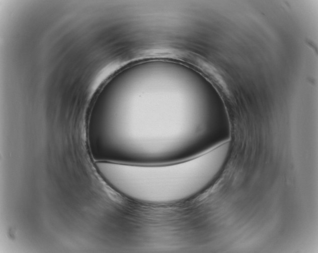 X0000095911328200801110818