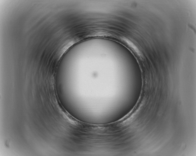 X0000095911329200801110818