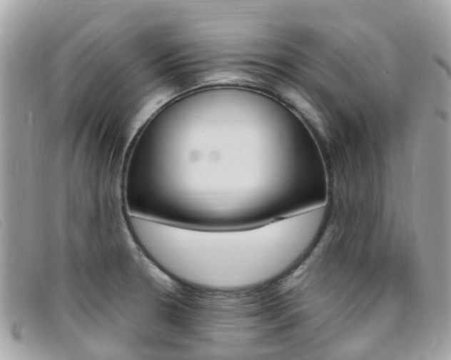X0000095911330200801110818