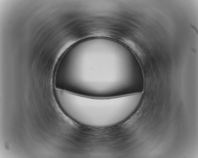 X0000095911331200801110818