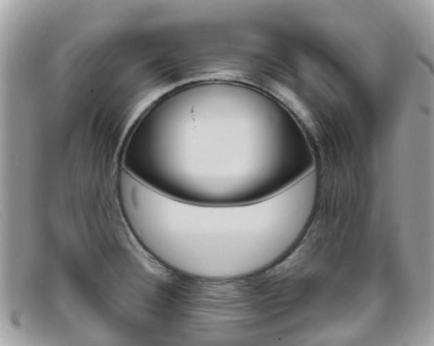 X0000095911332200801110818