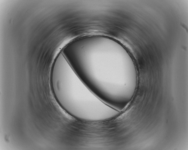 X0000095911333200801110818