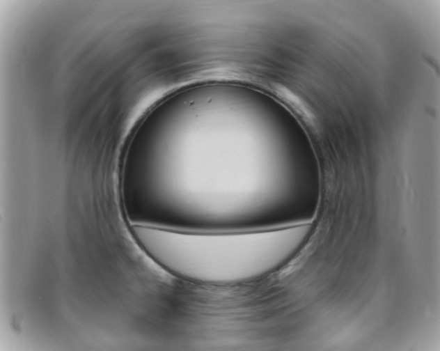 X0000095911334200801110818