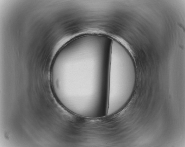 X0000095911335200801110818