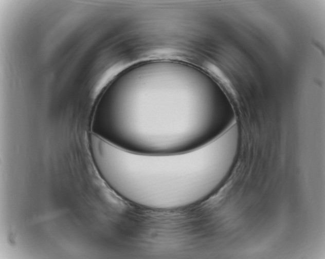 X0000095911336200801110818