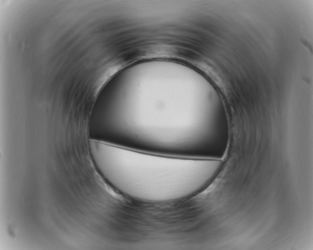 X0000095911337200801110818