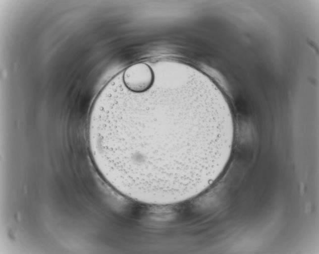 X0000095911338200801110818