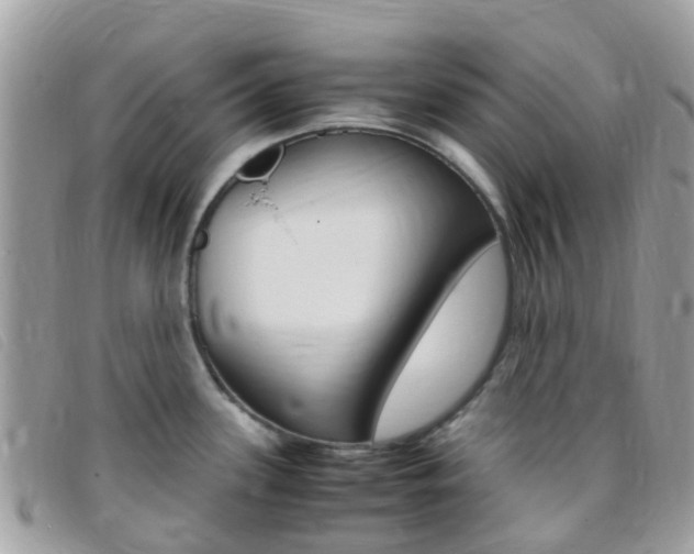 X0000095911339200801110818
