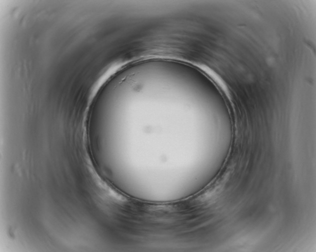 X0000095911341200801110818