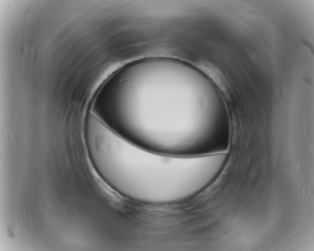 X0000095911342200801110818
