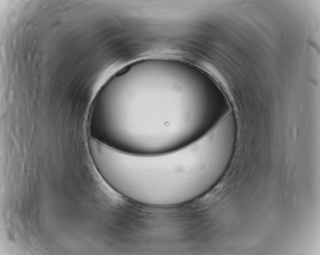 X0000095911344200801110818
