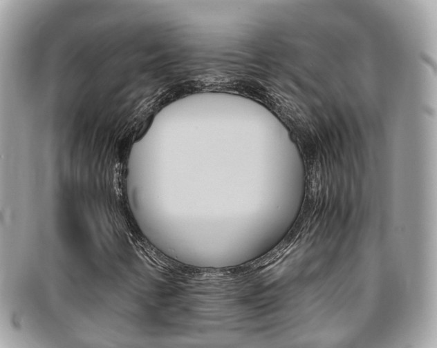 X0000095911346200801110818