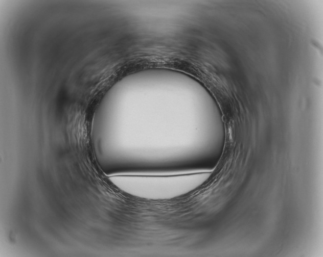 X0000095911347200801110818