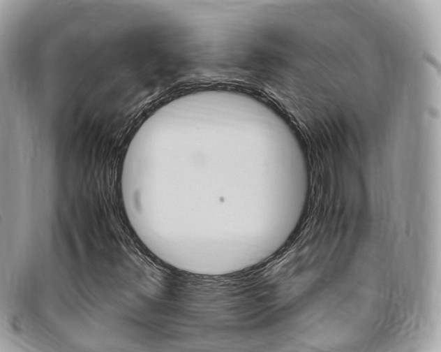 X0000095911348200801110818