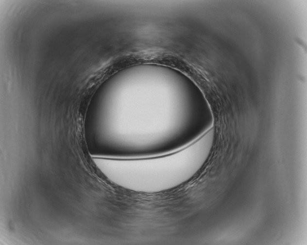 X0000095911349200801110818
