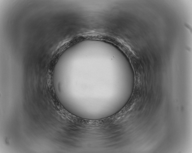 X0000095911350200801110818