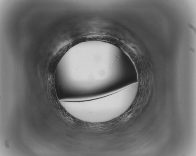 X0000095911351200801110818