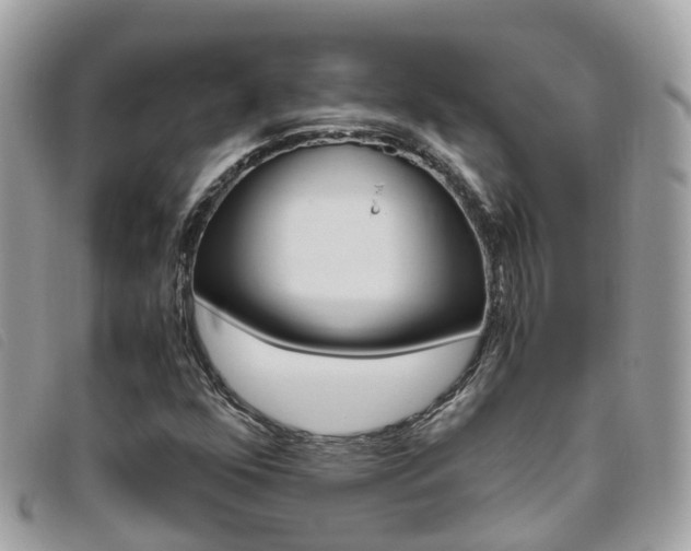 X0000095911352200801110818