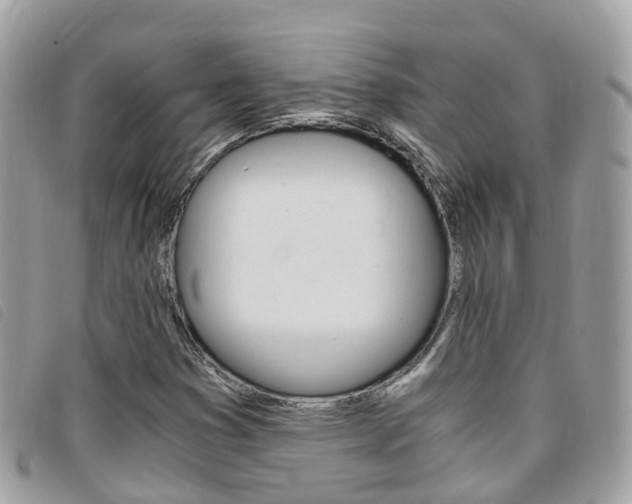 X0000095911353200801110818