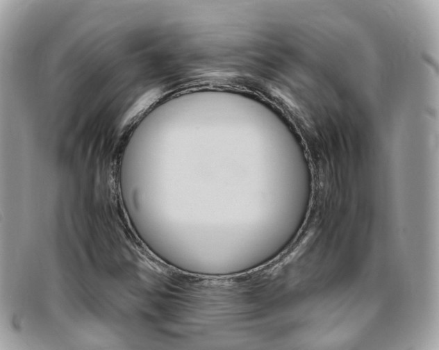 X0000095911354200801110818
