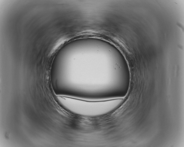 X0000095911355200801110818