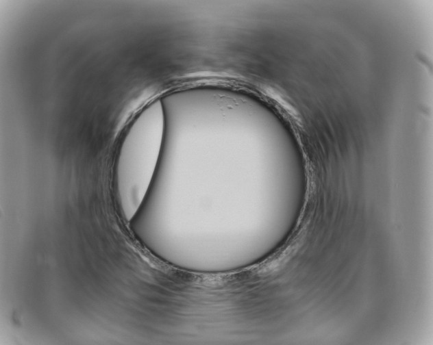 X0000095911357200801110818