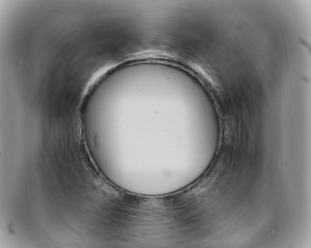 X0000095911358200801110818