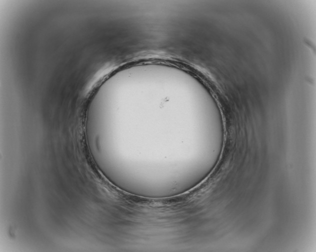 X0000095911359200801110818