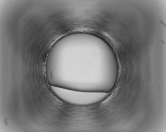 X0000095911361200801110818