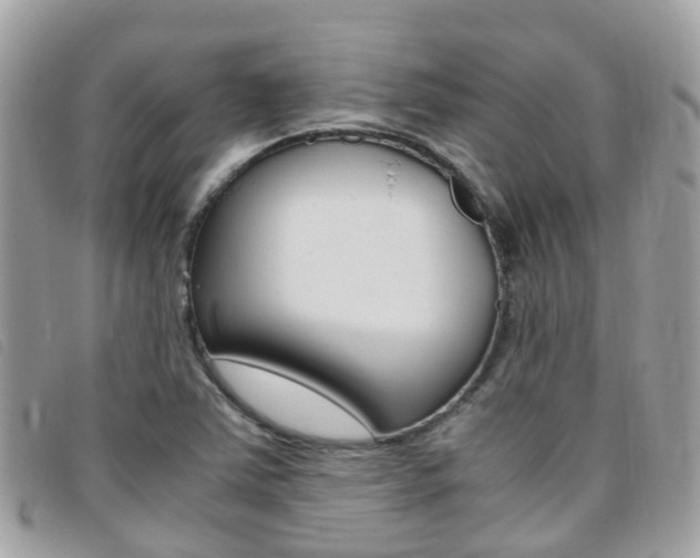 X0000095911363200801110818