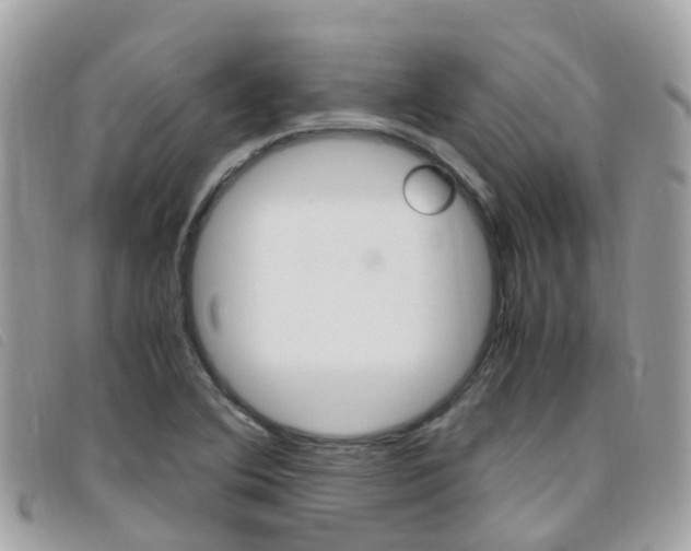 X0000095911364200801110818