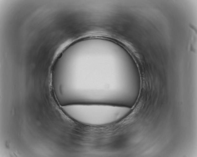 X0000095911366200801110818