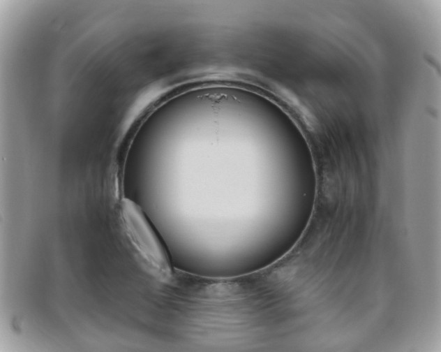 X0000095911368200801110818