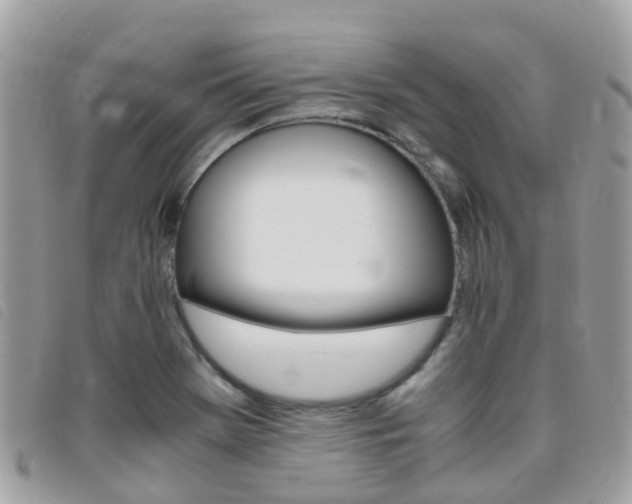 X0000095911369200801110818