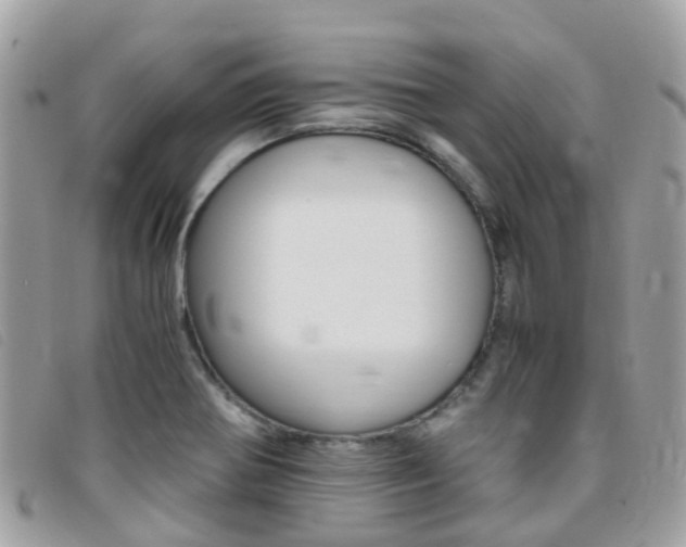 X0000095911370200801110818