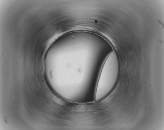 X0000095911371200801110817