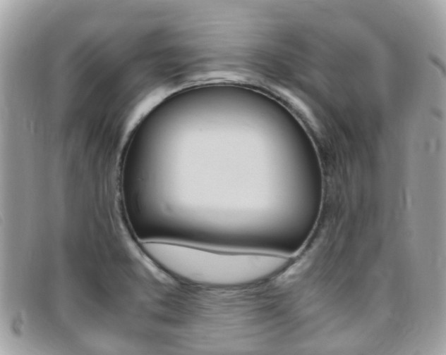 X0000095911373200801110817