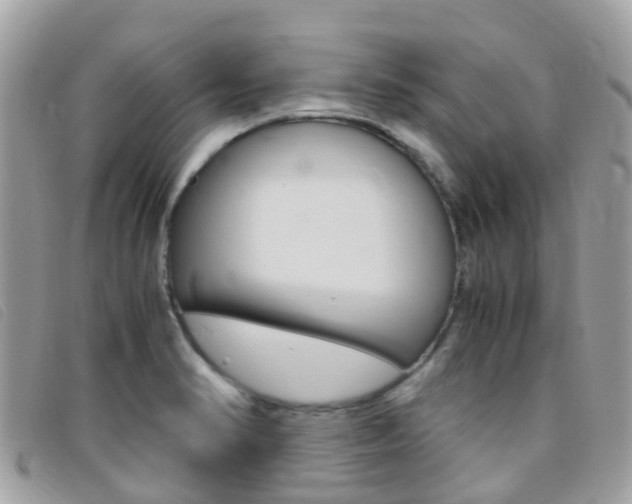 X0000095911374200801110817