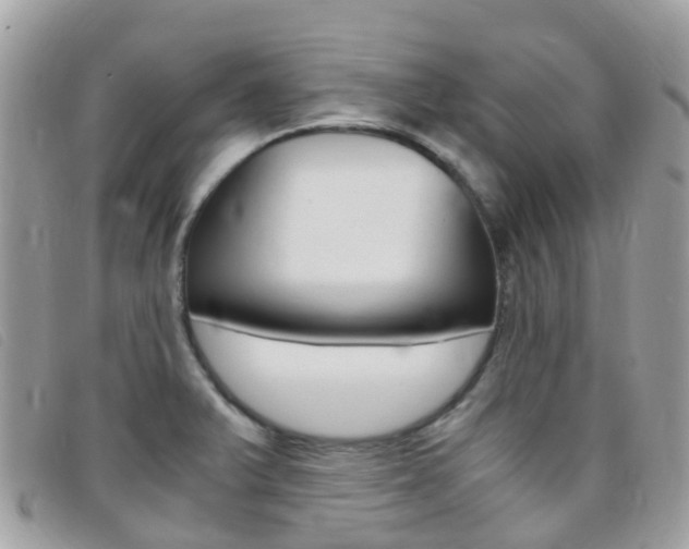 X0000095911375200801110817