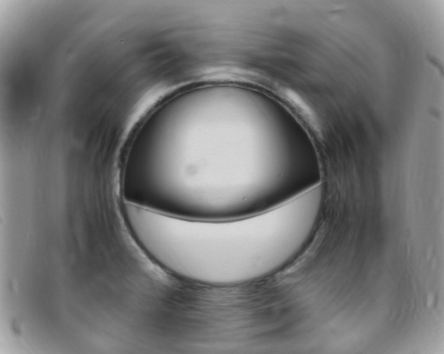 X0000095911376200801110817