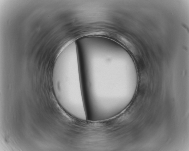 X0000095911377200801110817