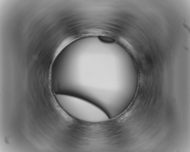 X0000095911378200801110817