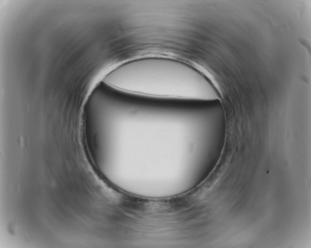 X0000095911379200801110817
