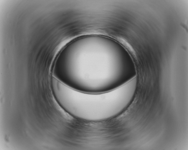 X0000095911380200801110817