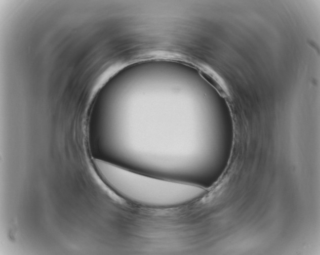 X0000095911381200801110817