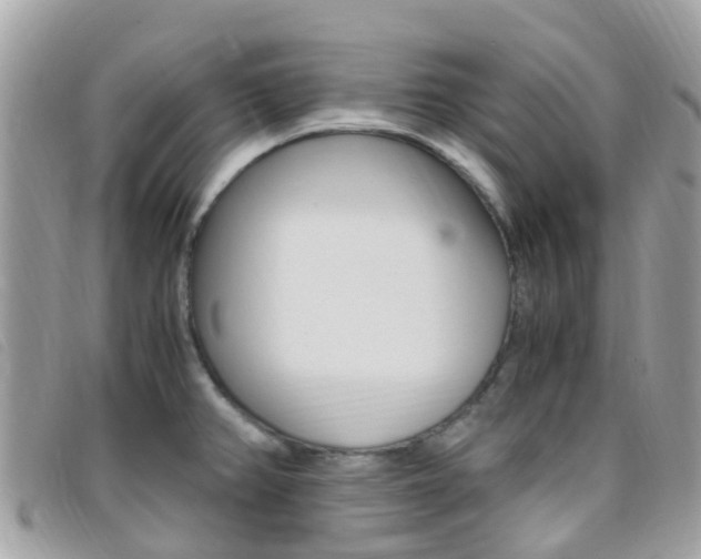 X0000095911382200801110817
